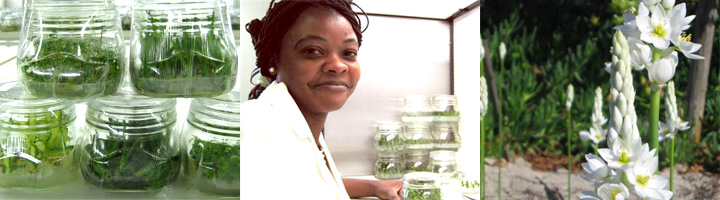 ALBA Laboratories - where quality begins . . . . .